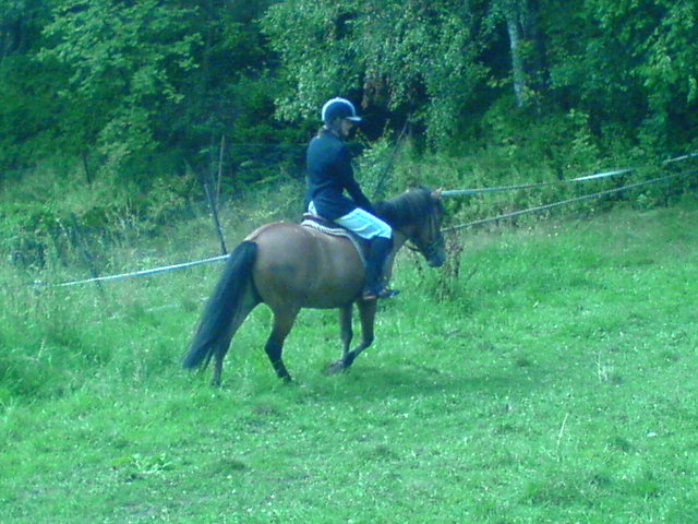 DSC00035.JPG